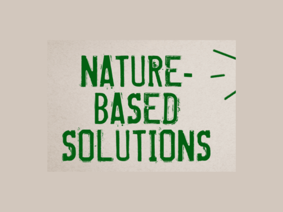 Nature-based solutions is written in green text on a cream background