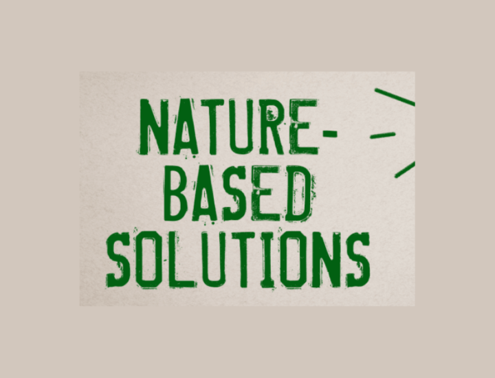 Nature-based solutions is written in green text on a cream background